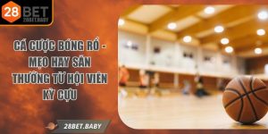 Cá Cược Bóng Rổ - Mẹo Hay Săn Thưởng Từ Hội Viên Kỳ Cựu