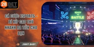 Cá Cược Esports - Bí Kíp Cao Thủ Nhanh Ra Tiền Cho Bạn