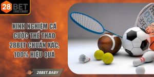 Kinh Nghiệm Cá Cược Thể Thao 28BET Chuẩn Xác, 100% Hiệu Quả