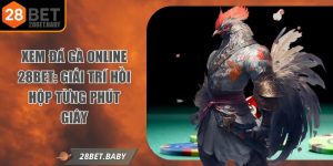 Xem Đá Gà Online 28bet: Giải Trí Hồi Hộp Từng Phút Giây